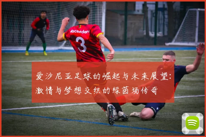 爱沙尼亚足球的崛起与未来展望：激情与梦想交织的绿茵场传奇