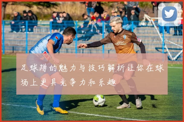 足球蹲的魅力与技巧解析让你在球场上更具竞争力和乐趣