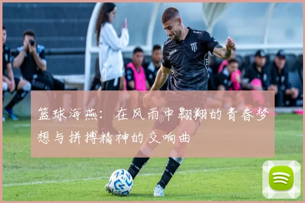 篮球海燕：在风雨中翱翔的青春梦想与拼搏精神的交响曲