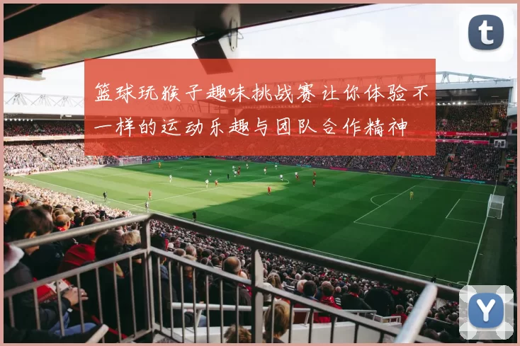 篮球玩猴子趣味挑战赛让你体验不一样的运动乐趣与团队合作精神